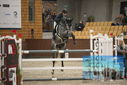 Filename=PT9_6280.JPG
Filesize=333KiB
Dimensions=1224x817
Date added=Oct 14, 2022 PT9_6280.JPG