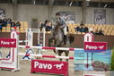 Filename=PT9_6305.JPG
Filesize=384KiB
Dimensions=1224x817
Date added=Oct 14, 2022 PT9_6305.JPG