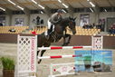 Filename=PT9_6322.JPG
Filesize=374KiB
Dimensions=1224x817
Date added=Oct 14, 2022 PT9_6322.JPG
