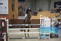 Filename=PT9_6335.JPG
Filesize=339KiB
Dimensions=1224x817
Date added=Oct 14, 2022 PT9_6335.JPG