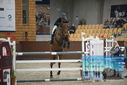 Filename=PT9_6336.JPG
Filesize=334KiB
Dimensions=1224x817
Date added=Oct 14, 2022 PT9_6336.JPG