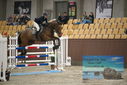 Filename=PT9_6343.JPG
Filesize=356KiB
Dimensions=1224x817
Date added=Oct 14, 2022 PT9_6343.JPG