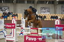 Filename=PT9_6356.JPG
Filesize=356KiB
Dimensions=1224x817
Date added=Oct 14, 2022 PT9_6356.JPG
