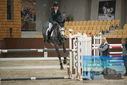 Filename=PT9_6381.JPG
Filesize=333KiB
Dimensions=1224x817
Date added=Oct 14, 2022 PT9_6381.JPG