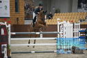 Filename=PT9_6401.JPG
Filesize=333KiB
Dimensions=1224x817
Date added=Oct 14, 2022 PT9_6401.JPG