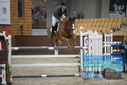 Filename=PT9_6402.JPG
Filesize=333KiB
Dimensions=1224x817
Date added=Oct 14, 2022 PT9_6402.JPG