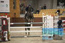 Filename=PT9_6433.JPG
Filesize=347KiB
Dimensions=1224x817
Date added=Oct 14, 2022 PT9_6433.JPG
