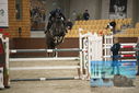 Filename=PT9_6434.JPG
Filesize=347KiB
Dimensions=1224x817
Date added=Oct 14, 2022 PT9_6434.JPG