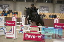 Filename=PT9_6446.JPG
Filesize=357KiB
Dimensions=1224x817
Date added=Oct 14, 2022 PT9_6446.JPG
