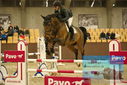 Filename=PT9_6461.JPG
Filesize=335KiB
Dimensions=1224x817
Date added=Oct 14, 2022 PT9_6461.JPG