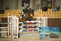 Filename=PT9_6467.JPG
Filesize=350KiB
Dimensions=1224x817
Date added=Oct 14, 2022 PT9_6467.JPG