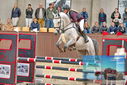 Filename=PT9_6520.JPG
Filesize=394KiB
Dimensions=1224x817
Date added=Oct 15, 2022 PT9_6520.JPG