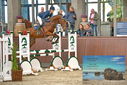 Filename=PT9_6545.JPG
Filesize=394KiB
Dimensions=1224x817
Date added=Oct 15, 2022 PT9_6545.JPG