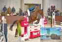 Filename=PT9_6546.JPG
Filesize=415KiB
Dimensions=1224x817
Date added=Oct 15, 2022 PT9_6546.JPG