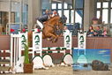 Filename=PT9_6568.JPG
Filesize=404KiB
Dimensions=1224x817
Date added=Oct 15, 2022 PT9_6568.JPG