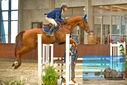 Filename=PT9_6591.JPG
Filesize=377KiB
Dimensions=1224x817
Date added=Oct 15, 2022 PT9_6591.JPG