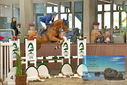 Filename=PT9_6598.JPG
Filesize=390KiB
Dimensions=1224x817
Date added=Oct 15, 2022 PT9_6598.JPG