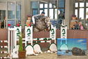 Filename=PT9_6609.JPG
Filesize=402KiB
Dimensions=1224x817
Date added=Oct 15, 2022 PT9_6609.JPG
