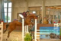 Filename=PT9_6634.JPG
Filesize=361KiB
Dimensions=1224x817
Date added=Oct 15, 2022 PT9_6634.JPG