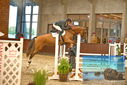 Filename=PT9_6642.JPG
Filesize=405KiB
Dimensions=1224x817
Date added=Oct 15, 2022 PT9_6642.JPG