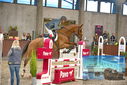 Filename=PT9_6647.JPG
Filesize=400KiB
Dimensions=1224x817
Date added=Oct 15, 2022 PT9_6647.JPG