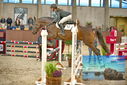 Filename=PT9_6650.JPG
Filesize=455KiB
Dimensions=1224x817
Date added=Oct 15, 2022 PT9_6650.JPG