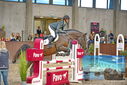 Filename=PT9_6655.JPG
Filesize=394KiB
Dimensions=1224x817
Date added=Oct 15, 2022 PT9_6655.JPG
