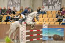 Filename=PT9_6864.JPG
Filesize=436KiB
Dimensions=1224x817
Date added=Oct 15, 2022 PT9_6864.JPG