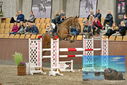 Filename=PT9_6876.JPG
Filesize=446KiB
Dimensions=1224x817
Date added=Oct 15, 2022 PT9_6876.JPG