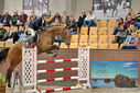 Filename=PT9_6877.JPG
Filesize=421KiB
Dimensions=1224x817
Date added=Oct 15, 2022 PT9_6877.JPG