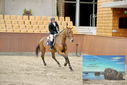 Filename=PT9_6878.JPG
Filesize=427KiB
Dimensions=1224x817
Date added=Oct 15, 2022 PT9_6878.JPG