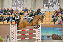 Filename=PT9_6887.JPG
Filesize=413KiB
Dimensions=1224x817
Date added=Oct 15, 2022 PT9_6887.JPG