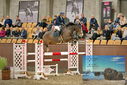 Filename=PT9_6895.JPG
Filesize=461KiB
Dimensions=1224x817
Date added=Oct 15, 2022 PT9_6895.JPG