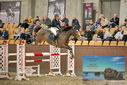 Filename=PT9_6896.JPG
Filesize=445KiB
Dimensions=1224x817
Date added=Oct 15, 2022 PT9_6896.JPG