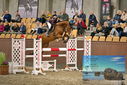Filename=PT9_6907.JPG
Filesize=463KiB
Dimensions=1224x817
Date added=Oct 15, 2022 PT9_6907.JPG