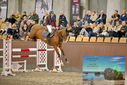 Filename=PT9_6909.JPG
Filesize=450KiB
Dimensions=1224x817
Date added=Oct 15, 2022 PT9_6909.JPG