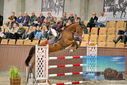 Filename=PT9_6911.JPG
Filesize=441KiB
Dimensions=1224x817
Date added=Oct 15, 2022 PT9_6911.JPG