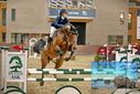 Filename=PT9_6915.JPG
Filesize=390KiB
Dimensions=1224x817
Date added=Oct 15, 2022 PT9_6915.JPG