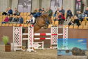Filename=PT9_6918.JPG
Filesize=476KiB
Dimensions=1224x817
Date added=Oct 15, 2022 PT9_6918.JPG