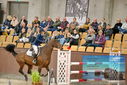 Filename=PT9_6920.JPG
Filesize=425KiB
Dimensions=1224x817
Date added=Oct 15, 2022 PT9_6920.JPG
