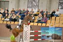 Filename=PT9_6921.JPG
Filesize=429KiB
Dimensions=1224x817
Date added=Oct 15, 2022 PT9_6921.JPG