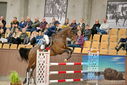 Filename=PT9_6922.JPG
Filesize=406KiB
Dimensions=1224x817
Date added=Oct 15, 2022 PT9_6922.JPG