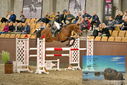 Filename=PT9_6931.JPG
Filesize=407KiB
Dimensions=1224x817
Date added=Oct 15, 2022 PT9_6931.JPG