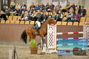 Filename=PT9_6933.JPG
Filesize=472KiB
Dimensions=1224x817
Date added=Oct 15, 2022 PT9_6933.JPG