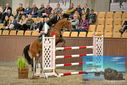 Filename=PT9_6934.JPG
Filesize=425KiB
Dimensions=1224x817
Date added=Oct 15, 2022 PT9_6934.JPG