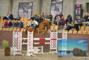 Filename=PT9_6941.JPG
Filesize=467KiB
Dimensions=1224x817
Date added=Oct 15, 2022 PT9_6941.JPG