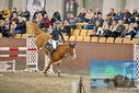 Filename=PT9_6943.JPG
Filesize=425KiB
Dimensions=1224x817
Date added=Oct 15, 2022 PT9_6943.JPG