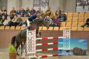 Filename=PT9_6957.JPG
Filesize=448KiB
Dimensions=1224x817
Date added=Oct 15, 2022 PT9_6957.JPG