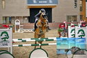 Filename=PT9_6962.JPG
Filesize=386KiB
Dimensions=1224x817
Date added=Oct 15, 2022 PT9_6962.JPG
