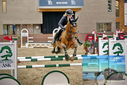 Filename=PT9_6963.JPG
Filesize=385KiB
Dimensions=1224x817
Date added=Oct 15, 2022 PT9_6963.JPG